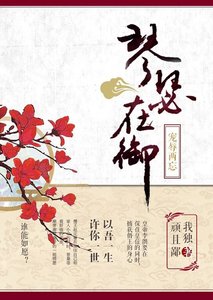 《琴瑟在御,宠辱两忘》