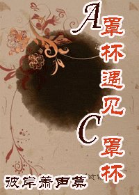 《A罩杯遇见C罩杯》