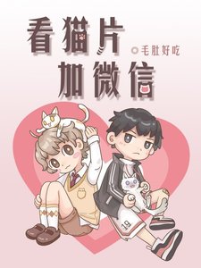 《看猫片加微信》