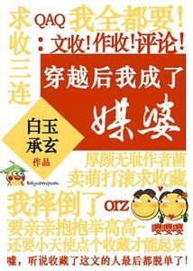 《穿越后我成了媒婆》