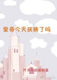 《皇帝今天挨揍了吗》