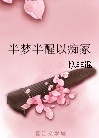 《半梦半醒以痴冢》