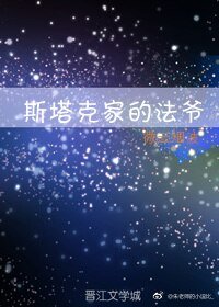 《斯塔克家的法爷》