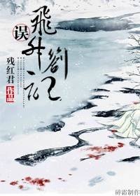 《误·飞升札记》