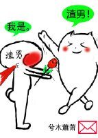 《别掰,我自己会弯gl》