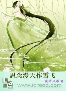 《漫天雪飞》