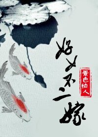 《好女不二嫁》