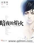 《暗夜的焰火》