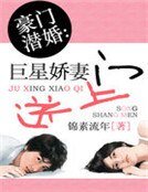 《豪门潜婚:巨星娇妻送上门》