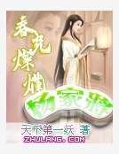 《春光灿烂杨家将》