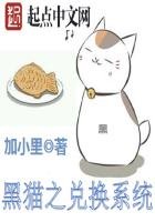 《黑猫之兑换系统》