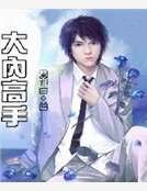 《大内高手》