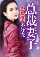 《危险婚姻①总裁妻子不好哄》