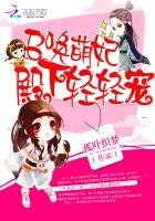 《召唤萌妃:殿下轻轻宠》