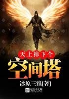 《天上掉下个空间塔》