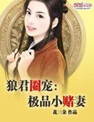 《狼君绝宠:极品小蛮妻》