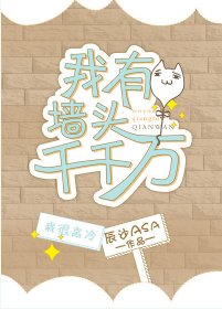 《我有墙头千千万》