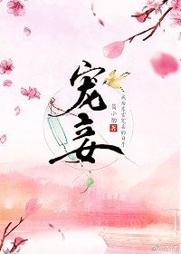 《宠妾(作者:简小酌)》