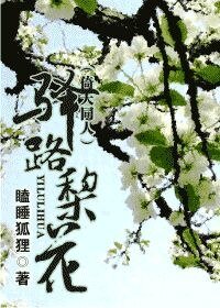 《驿路梨花(倚天同人)》