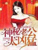 《失忆甜妻:神秘老公太凶猛》