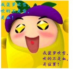 《(综武侠同人)菠萝要吹雪!》