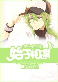 《(宠物小精灵同人)始于相遇》