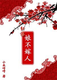 （红楼同人）娘不嫁人