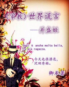 《(家教同人)家教世界谎言——并盛姬》