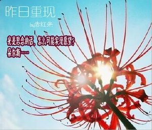 《(家教同人)昨日重现》