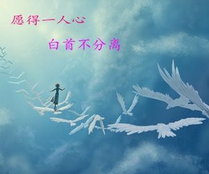 《愿得一人心》