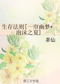 （综同人）生存法则[一帘幽梦+泡沫之夏]