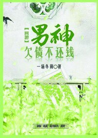 《男神欠债不还钱〔网游〕》