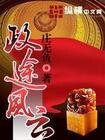 《政途风云》