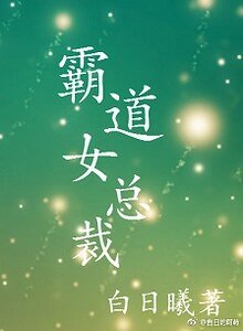 《霸道女总裁GL》