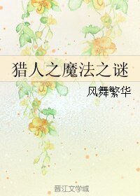 《(猎人同人)猎人之魔法之谜》