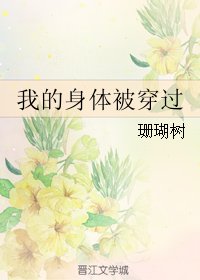 《我的身体被穿过》