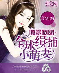 《掠爱成婚:全球缉捕小萌妻》