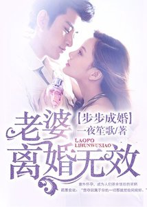 《步步成婚:老婆,离婚无效》