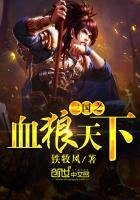 《三国之血狼天下》