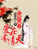 《红楼元春之爱在有情天》