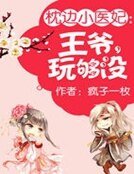 《枕边小医妃:王爷,玩够没》