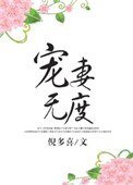 《宠妻无度》