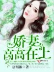 《娇妻高高在上》