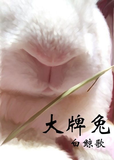 《大牌兔》