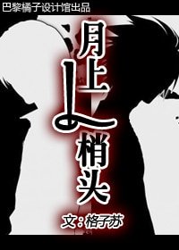 《(死亡笔记同人)月上L梢头》