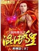 《混沌尊皇》