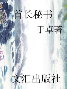 《首长秘书(精)》