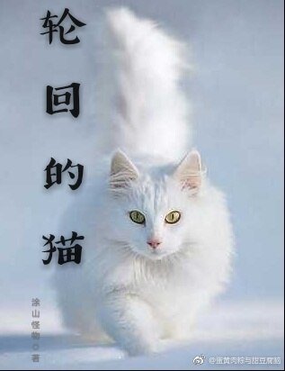 轮回里的猫