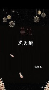 《暮光黑天鹅》