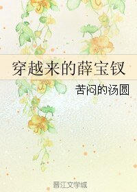 《(红楼梦同人)穿越来的薛宝钗》